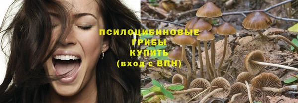 скорость Аркадак