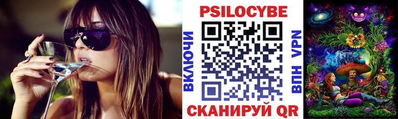 наркота  Сясьстрой  Псилоцибиновые грибы мицелий 